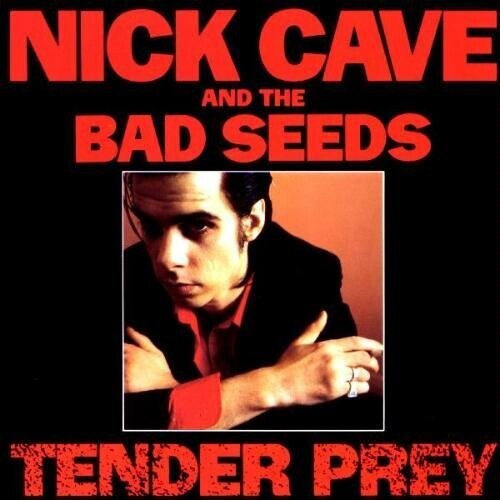 Cave, Nick & Bad Seeds: Tender Prey